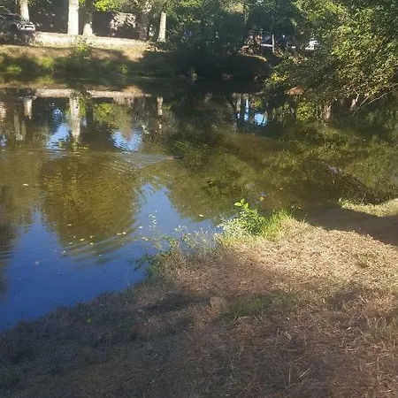 Pod Des Deux Chenes * Louroux-Hodement